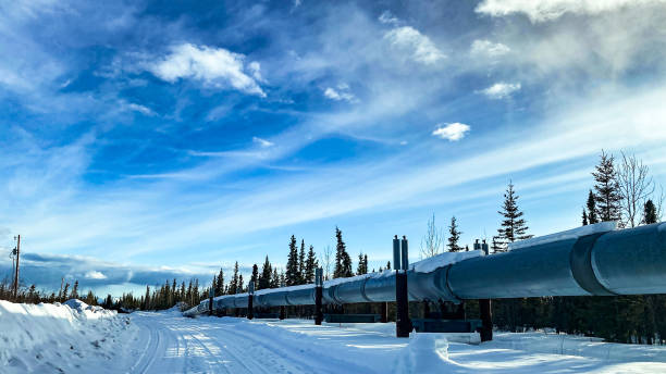 istock Trans Alaskan pipeline in the interior of Alaska 1476407338
