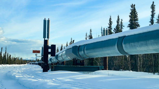 istock Trans Alaskan pipeline in the interior of Alaska 1476407350