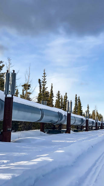 istock Trans Alaskan pipeline in the interior of Alaska 1476407391