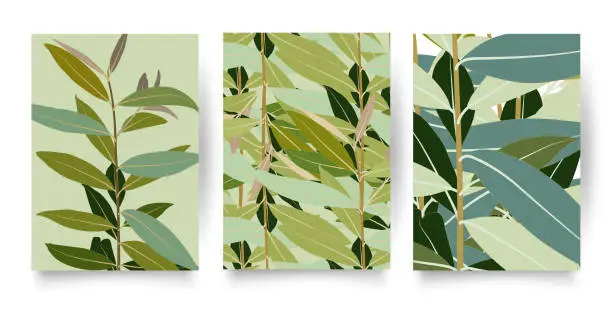 Vector illustration of Green Tropic pattern set. Collection of tropical backgrounds in simple minimal flat style with jungle plants leaves,