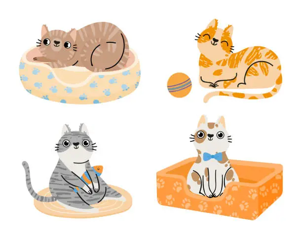 Vector illustration of Cartoon cats. Furry colorful animals sitting and lying in bed, playing with ball and fish toy. Domestic characters