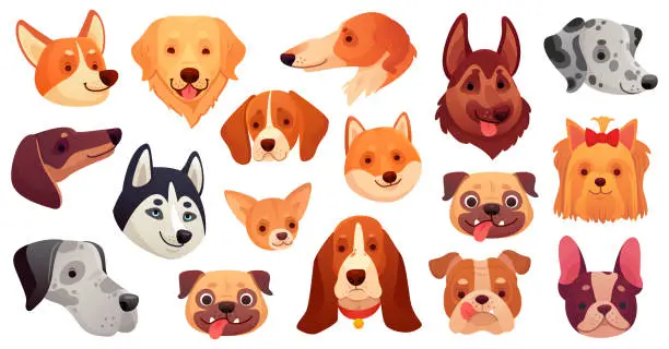 Vector illustration of Cute dog faces. Different breeds as pug, husky, dalmatian, chihuahua and corgi. Lovely puppy heads. Purebred animals