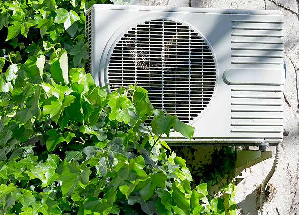 istock air conditioner and ivy 147642043