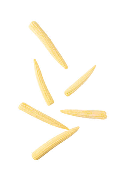 istock Falling Baby corn isolated on white background with clipping path 1476423797