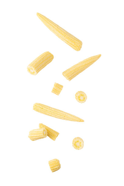 istock Falling Baby corn isolated on white background with clipping path 1476423828
