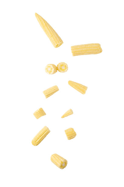 istock Falling Baby corn isolated on white background with clipping path 1476423852