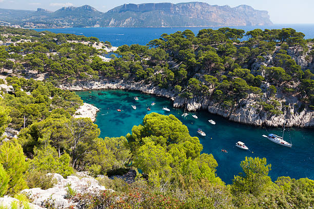 istock Calanques of Port-Pin in Cassis 147642469