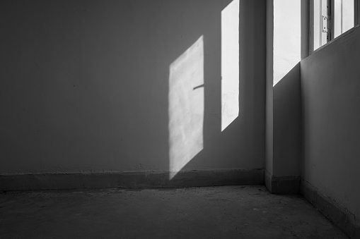 Female shadow on a Danish farm wall.