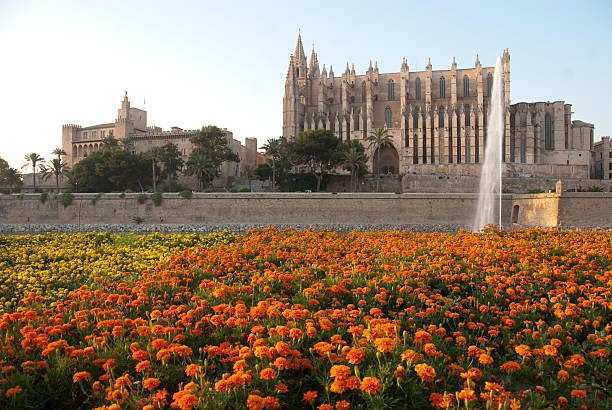 istock Cathedral Palma de Mallorca, Balearic Islands 147643044