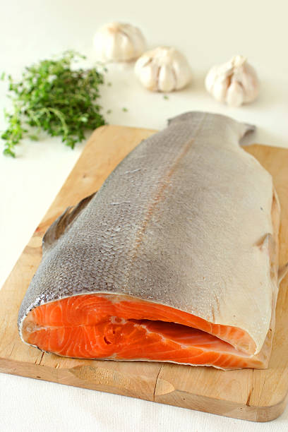 Salmon stock photo