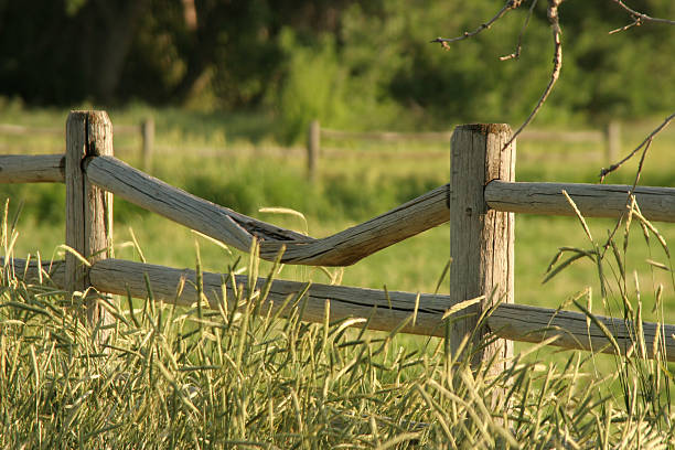 istock wooden Fence 147643435
