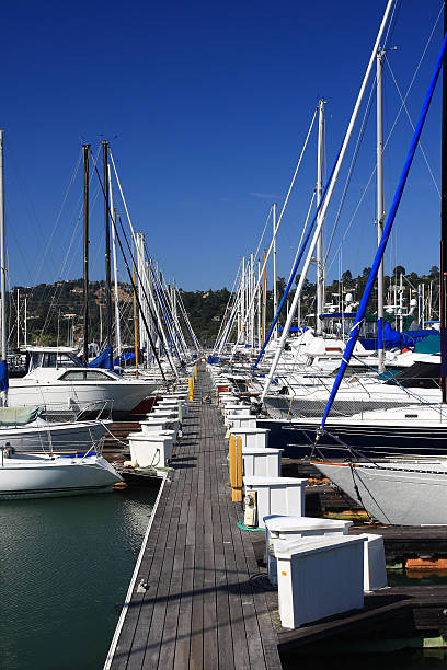 istock Sailboats in Marina 147643900