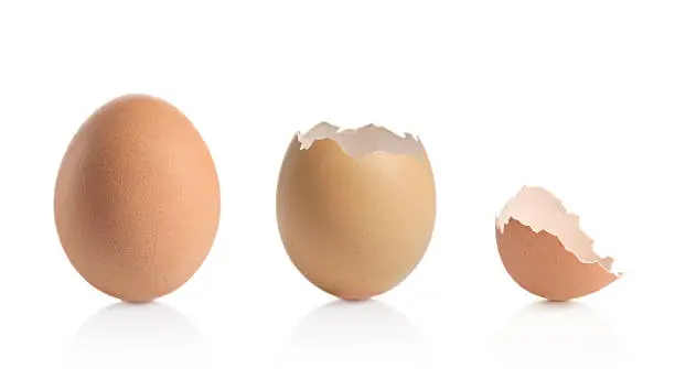 Eggshells isolated against white background