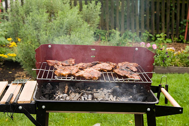 istock Grill in the garden 147644242