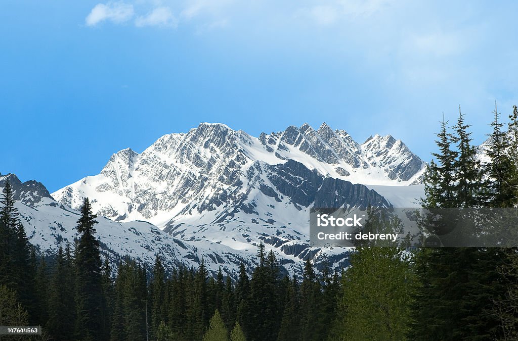 Montagna nelle Montagne Rocciose Canadesi - Foto stock royalty-free di Albero
