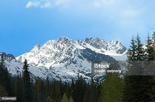 Montagna Nelle Montagne Rocciose Canadesi - Fotografie stock e altre immagini di Albero - Albero, Albero sempreverde, Alberta