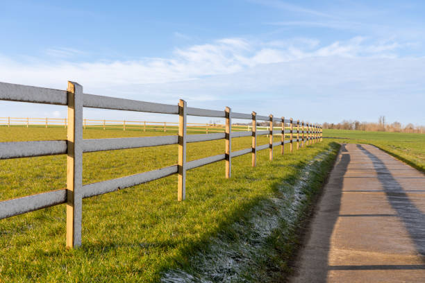 istock Horse meadow with a road next to it 1476457540