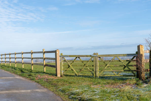 istock Horse meadow with a road next to it 1476457551