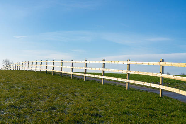 At the edge of the meadow there is wooden fence next to a road that goes down a lane through the landscape