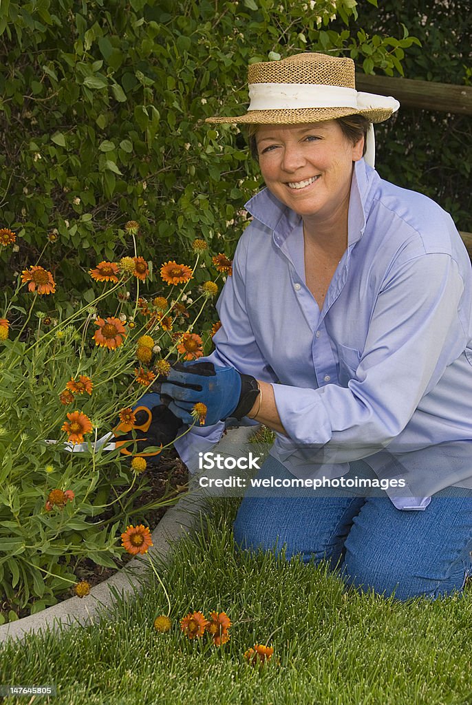 Donna scegliere i fiori in giardino - Foto stock royalty-free di Adulto