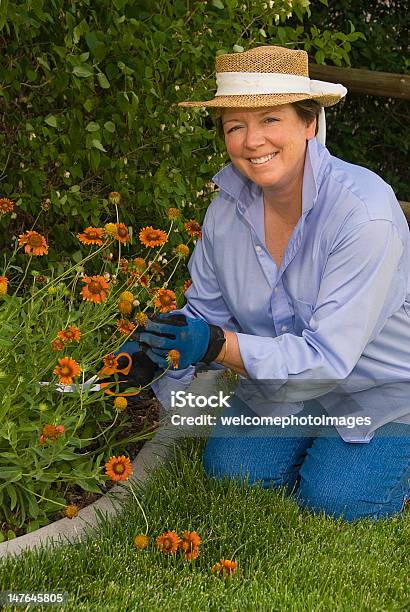 여자 픽킹 자신의 정원 꽃 꽃-식물에 대한 스톡 사진 및 기타 이미지 - 꽃-식물, 녹색, 데이지과