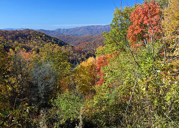 istock Autumn Scenic Overlook 147646088