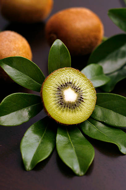 Kiwi with leaves in fanned out like a flower stock photo