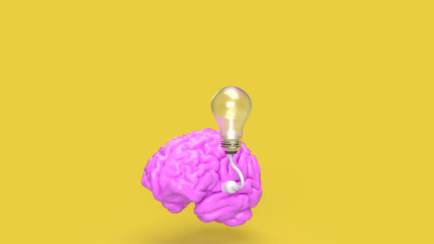 istock The pink Brain and light bulb on yellow background for creative or idea concept 3d rendering 1476463438