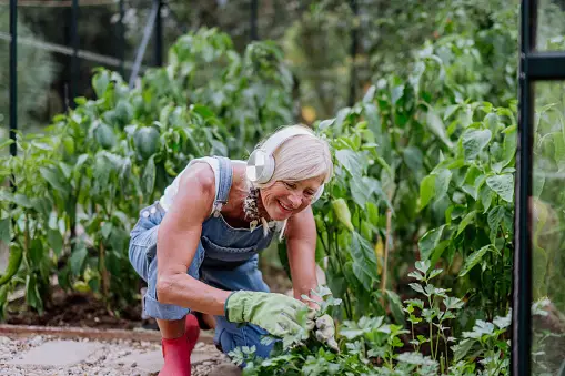 Building An Organic Garden from Scratch