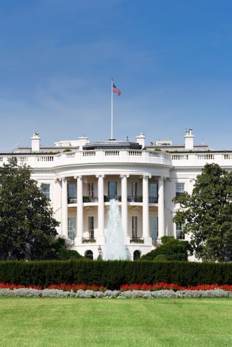 The white house