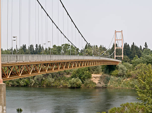 Faded gold pedestrian suspension bridge crossing the American river at Sacramento state university.  surrounded by riparian forestry.