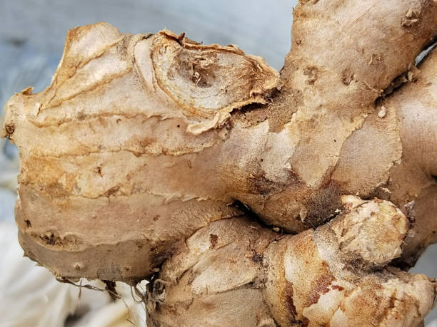 istock Fresh organic ginger on fresh market 1476477302