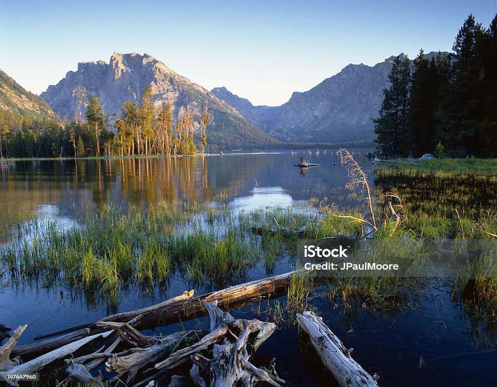 Sunrise from Grassy Island Sunrise on Grassy Island - Jackson Lake - Grand Teton National Park, WY Grand Teton National Park Stock Photo