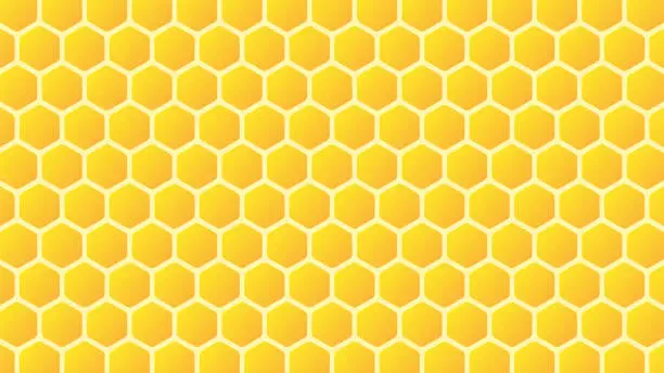 Vector illustration of Bee comb pattern vector. Bee comb pattern wallpaper. free space for text. copy space.