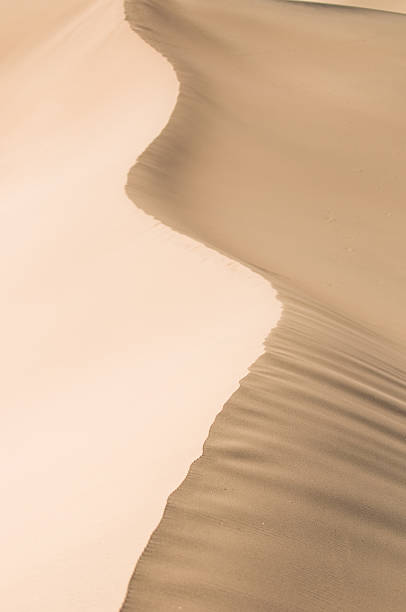istock highly detailed texture of sand dunes 147648289
