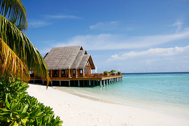 istock Tropical Beach Villa In Maldives 147648495