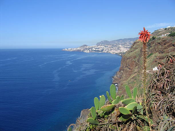 istock Madeira Island, Portugal 147649162