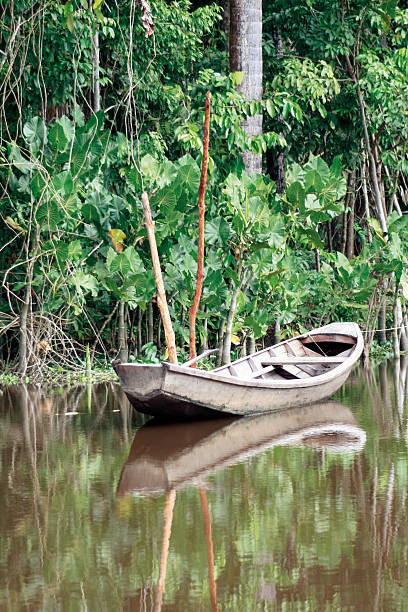 Boat in the Orinoco Delta Small boat in the Orinoco Delta in the jungle of Venezuela in SAdamerika delta amacuro stock pictures, royalty-free photos & images