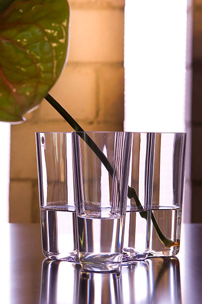 istock glass vase with a leave 147649386