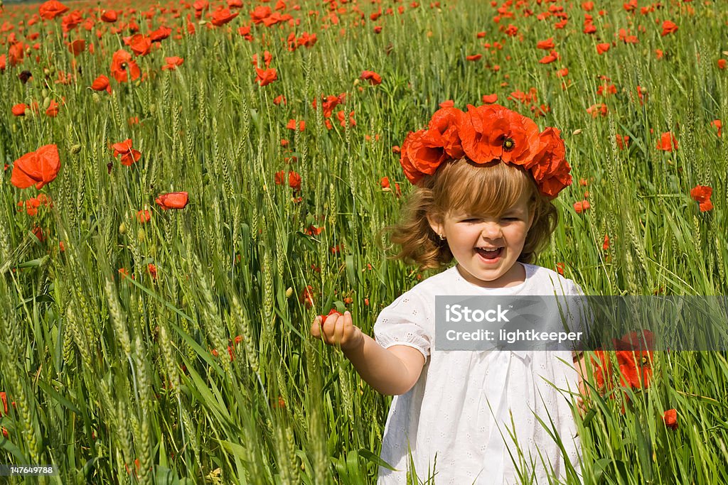 Corriendo por el campo de amapolas - Foto de stock de Aire libre libre de derechos