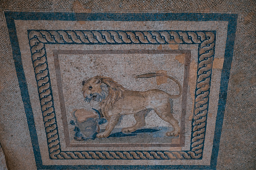 Lion Mosaic in the Ancient City