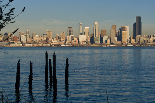 Late afternoon sun shines on the Seattle skyline