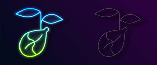 istock Glowing neon line Sprout icon isolated on black background. Seed and seedling. Leaves sign. Leaf nature. Vector 1476507720
