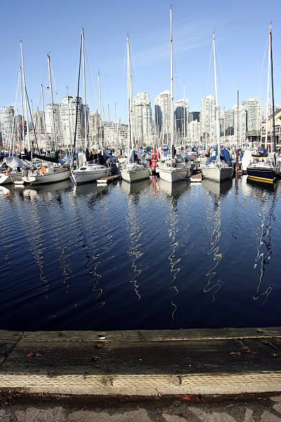 Boats in Marina with masts reflecting in the water vertical