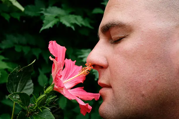 Man enjoys smelling a Hibiscus flower