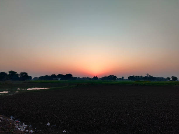 istock Evening in Common water hyacinth 1476514404