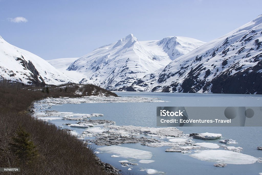 Paisaje de Alaska - Foto de stock de Agua libre de derechos