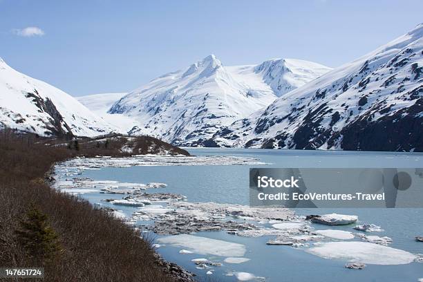 Paisaje De Alaska Foto de stock y más banco de imágenes de Agua - Agua, Aire libre, Alaska - Estado de los EE. UU.