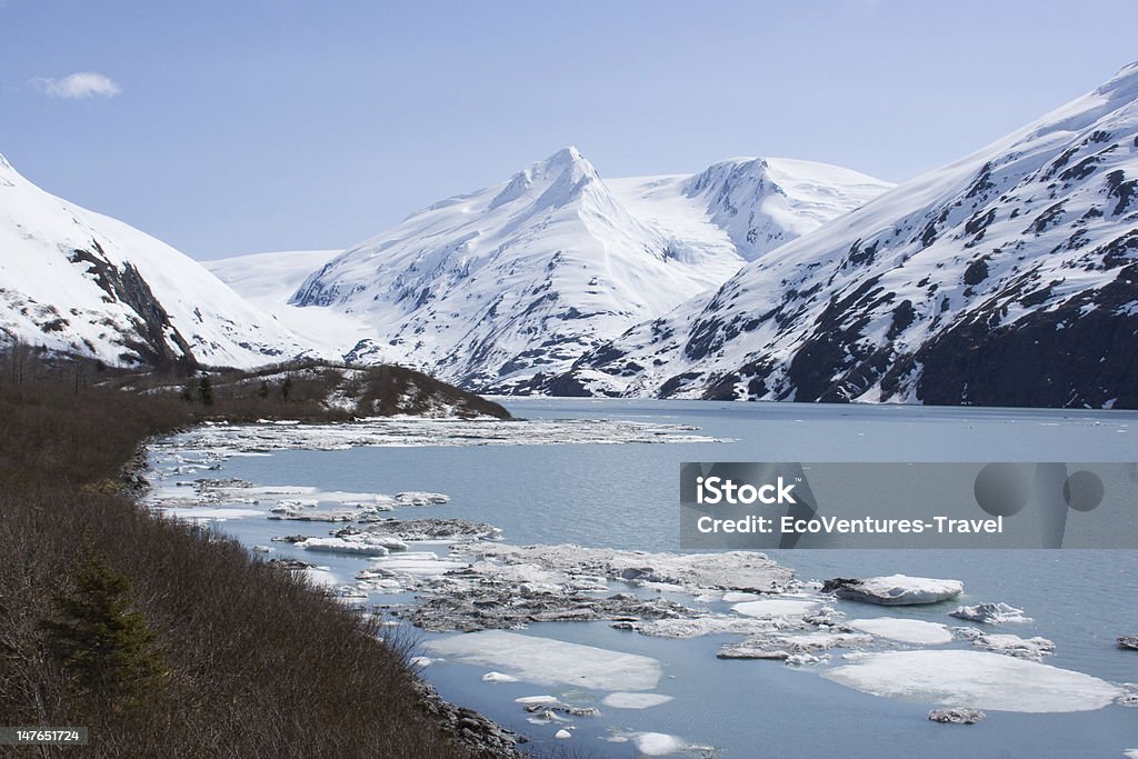 Alaska Krajobraz - Zbiór zdjęć royalty-free (Ameryka)