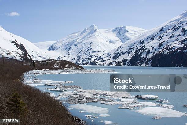 Alaska Krajobraz - zdjęcia stockowe i więcej obrazów Ameryka - Ameryka, Arktyka, Badanie